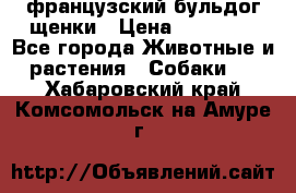 французский бульдог щенки › Цена ­ 50 000 - Все города Животные и растения » Собаки   . Хабаровский край,Комсомольск-на-Амуре г.